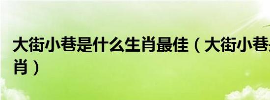 大街小巷是什么生肖最佳（大街小巷是什么生肖）