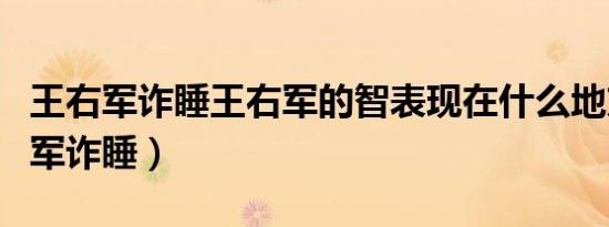 王右军诈睡王右军的智表现在什么地方（王右军诈睡）