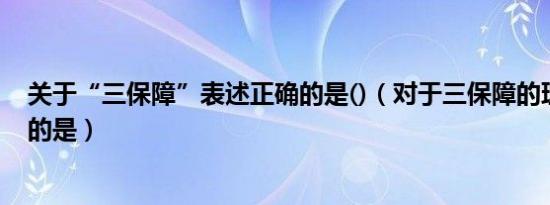 关于“三保障”表述正确的是()（对于三保障的理解不包括的是）