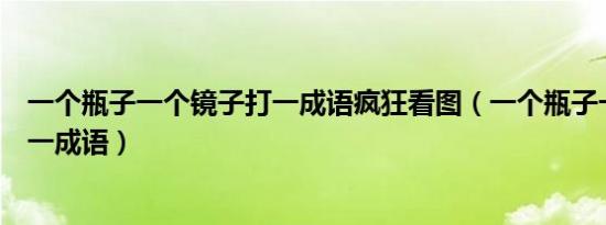 一个瓶子一个镜子打一成语疯狂看图（一个瓶子一个镜子打一成语）