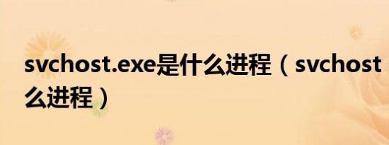 svchost.exe是什么进程（svchost exe是什么进程）