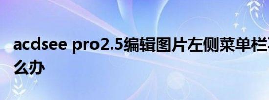 acdsee pro2.5编辑图片左侧菜单栏不见了怎么办