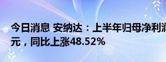 今日消息 安纳达：上半年归母净利润1.28亿元，同比上涨48.52%