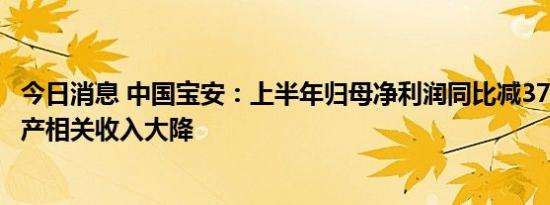 今日消息 中国宝安：上半年归母净利润同比减37.8%，房地产相关收入大降