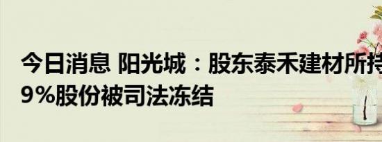 今日消息 阳光城：股东泰禾建材所持公司4.69%股份被司法冻结