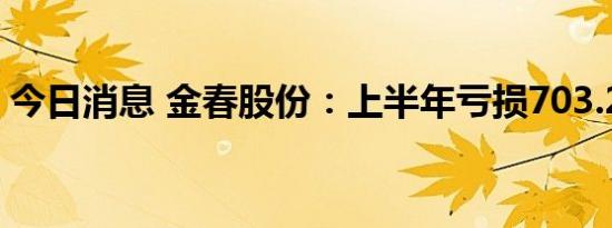 今日消息 金春股份：上半年亏损703.26万元