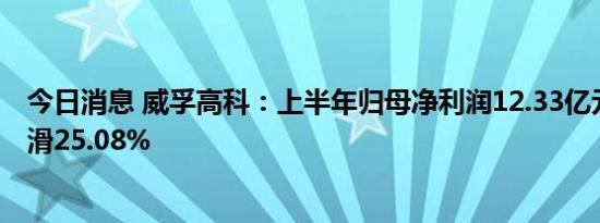 今日消息 威孚高科：上半年归母净利润12.33亿元，同比下滑25.08%