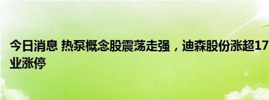 今日消息 热泵概念股震荡走强，迪森股份涨超17%，大元泵业涨停