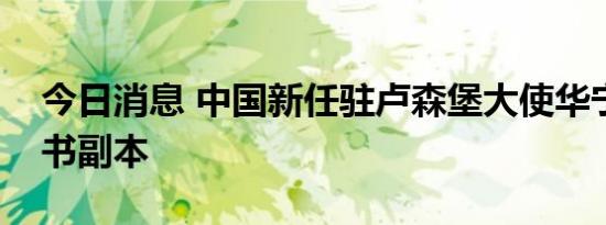 今日消息 中国新任驻卢森堡大使华宁递交国书副本