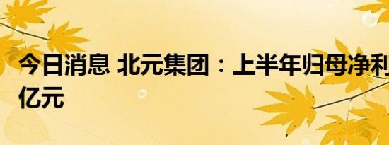 今日消息 北元集团：上半年归母净利润11.97亿元