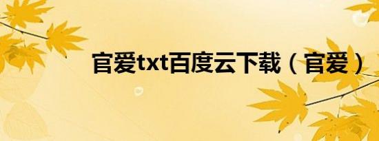 官爱txt百度云下载（官爱）