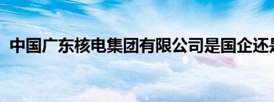 中国广东核电集团有限公司是国企还是央企