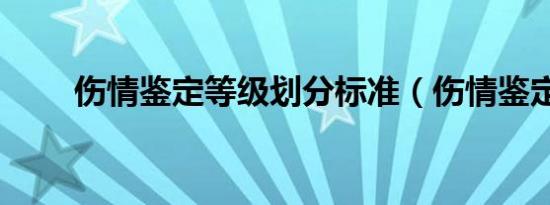 伤情鉴定等级划分标准（伤情鉴定）