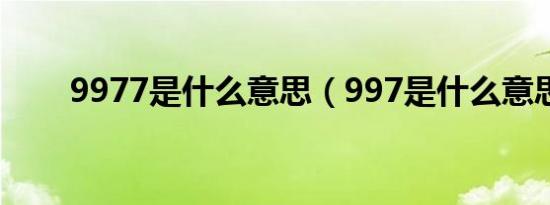 9977是什么意思（997是什么意思）