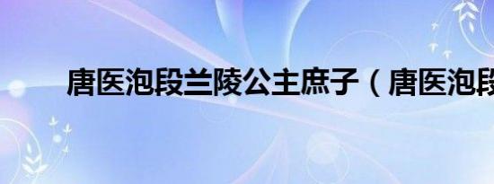 唐医泡段兰陵公主庶子（唐医泡段）