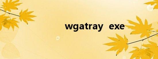 wgatray  exe