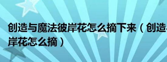 创造与魔法彼岸花怎么摘下来（创造与魔法彼岸花怎么摘）