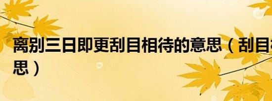 离别三日即更刮目相待的意思（刮目相待的意思）