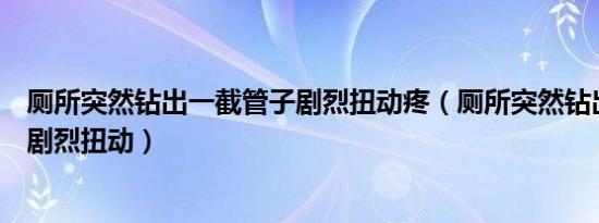 厕所突然钻出一截管子剧烈扭动疼（厕所突然钻出一截管子剧烈扭动）