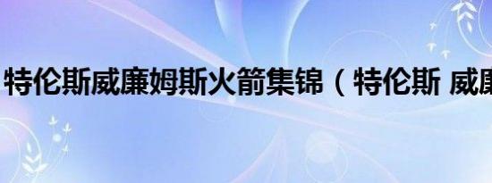 特伦斯威廉姆斯火箭集锦（特伦斯 威廉姆斯）