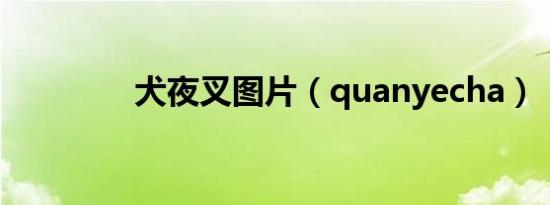 会展展示设计说明（展览设计说明）