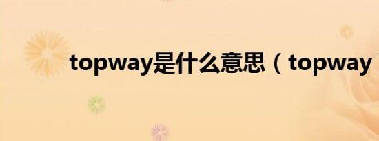 topway是什么意思（topway）