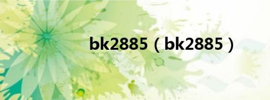 bk2885（bk2885）