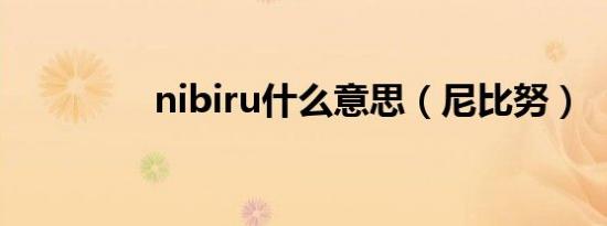 nibiru什么意思（尼比努）