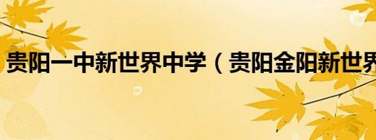 贵阳一中新世界中学（贵阳金阳新世界一中）