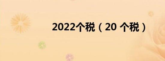 2022个税（20 个税）