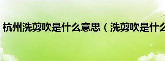 杭州洗剪吹是什么意思（洗剪吹是什么意思）