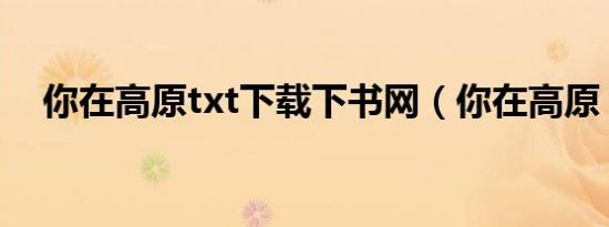 你在高原txt下载下书网（你在高原 txt）