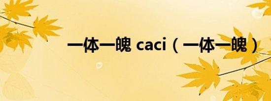 一体一魄 caci（一体一魄）