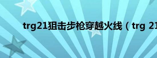 trg21狙击步枪穿越火线（trg 21）