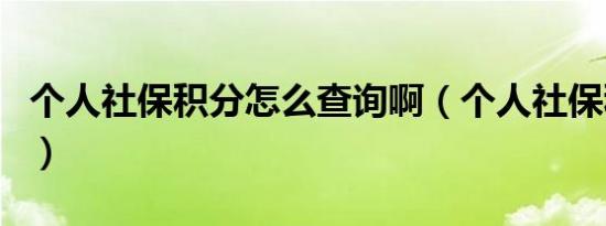 个人社保积分怎么查询啊（个人社保积分查询）