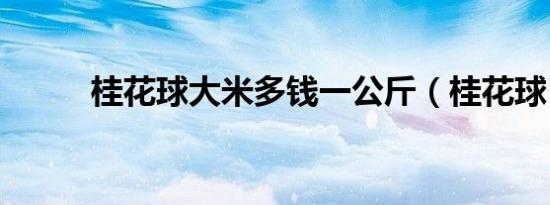 桂花球大米多钱一公斤（桂花球）