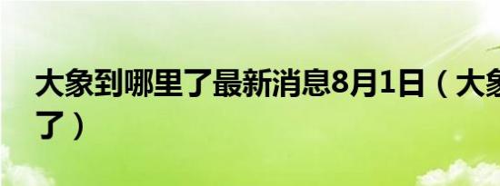 大象到哪里了最新消息8月1日（大象到哪里了）