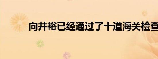 向井裕已经通过了十道海关检查