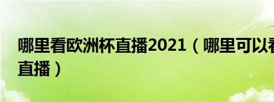 哪里看欧洲杯直播2021（哪里可以看欧洲杯直播）