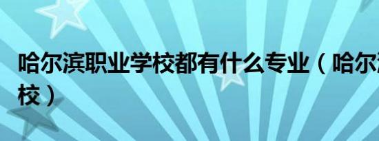 哈尔滨职业学校都有什么专业（哈尔滨职业学校）