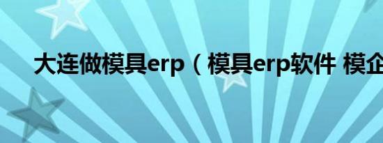 大连做模具erp（模具erp软件 模企宝）