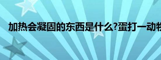 加热会凝固的东西是什么?蛋打一动物生肖