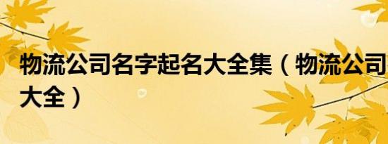 物流公司名字起名大全集（物流公司名字起名大全）