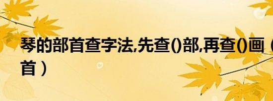 琴的部首查字法,先查()部,再查()画（琴的部首）