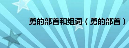 勇的部首和组词（勇的部首）