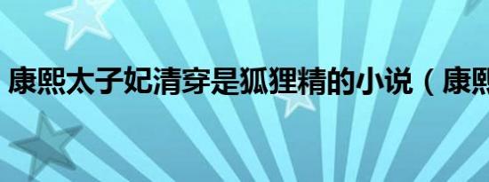 康熙太子妃清穿是狐狸精的小说（康熙太子）