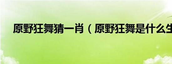 原野狂舞猜一肖（原野狂舞是什么生肖）