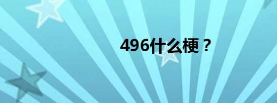 496什么梗？