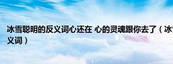 冰雪聪明的反义词心还在 心的灵魂跟你去了（冰雪聪明的反义词）