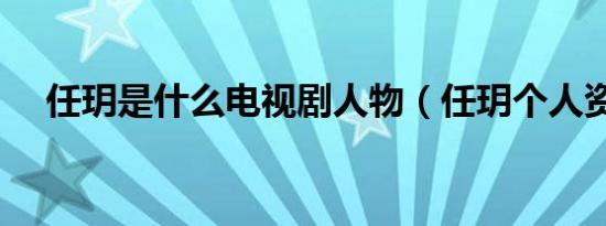 任玥是什么电视剧人物（任玥个人资料）